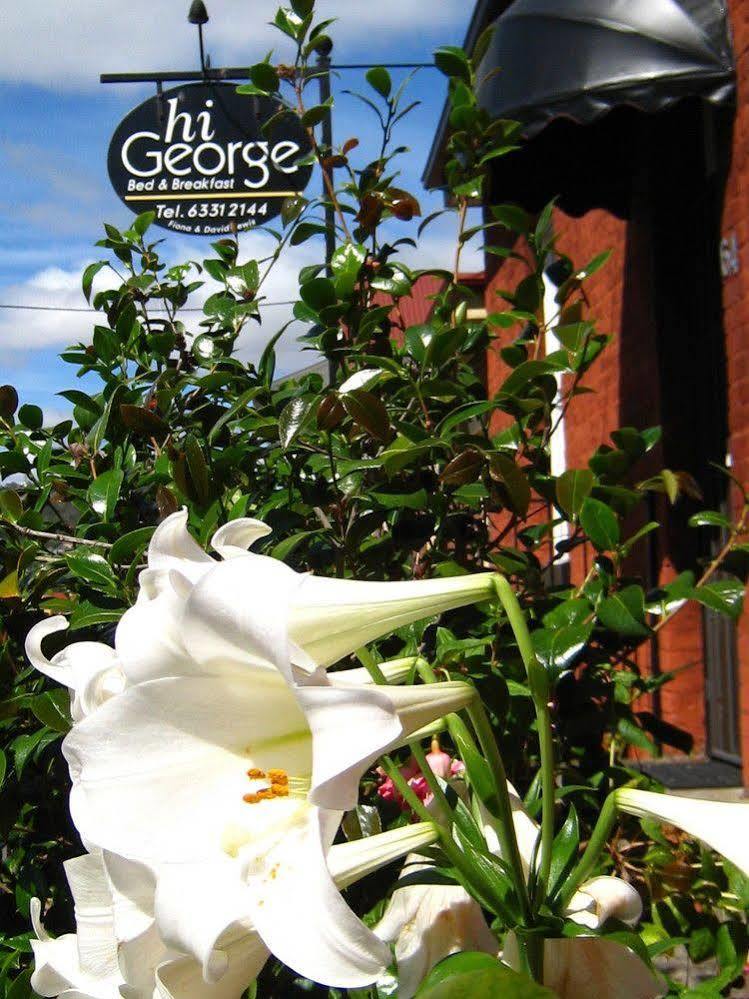 Hi George B&B Launceston Eksteriør billede